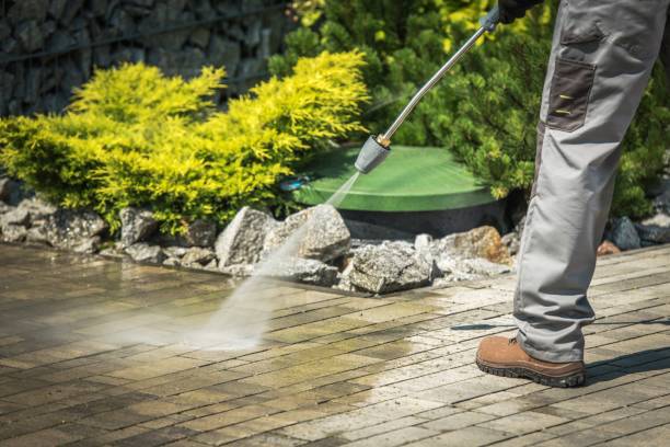 Best Soft Washing  in Brooksville, MS