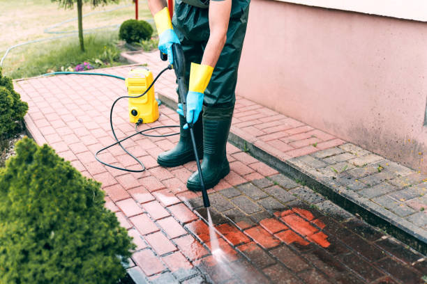 Best Gutter Cleaning  in Brooksville, MS