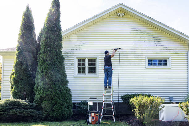 Best Graffiti Removal  in Brooksville, MS